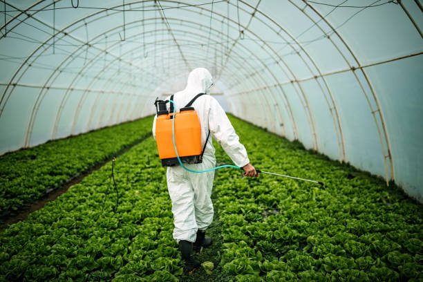 Best Pest Prevention Services  in South Venice, FL