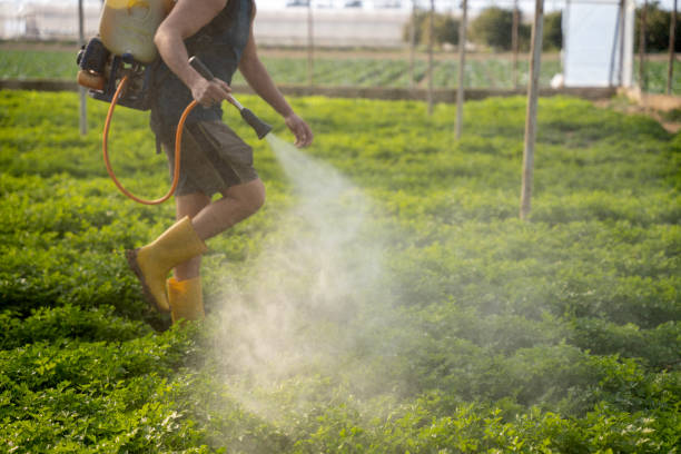 Best Pest Inspection Near Me  in South Venice, FL