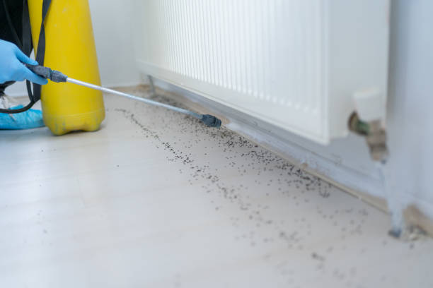 Best Cockroach Control Services  in South Venice, FL