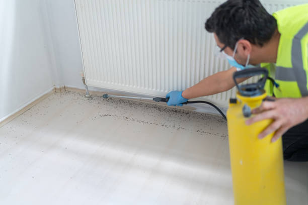 Best Mosquito Control Services  in South Venice, FL