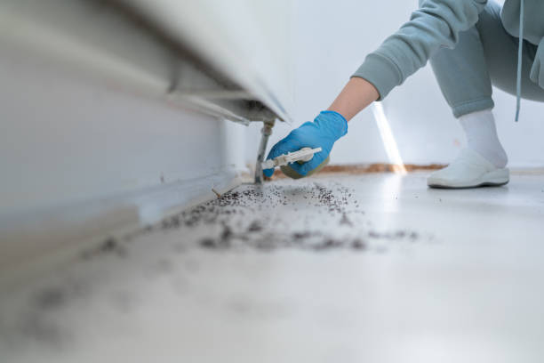 Best Affordable Pest Control Services  in South Venice, FL