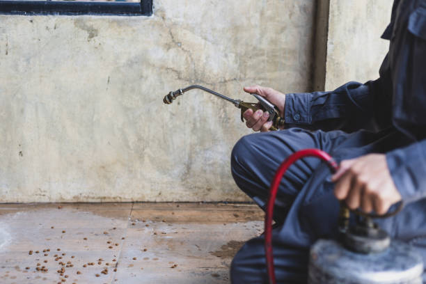 Professional Pest Control in South Venice, FL